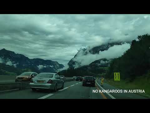 GillianGwen - No Kangaroos in Austria
