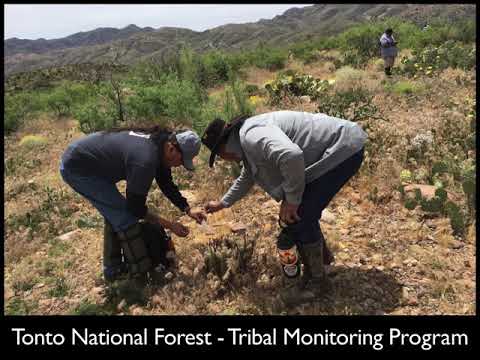 Tonto National Forest Tribal Monitoring Program (Government Agency)