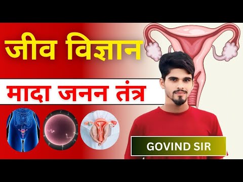 महिला प्रजनन तंत्र | Female reproductive system in hindi | Menstural cycle | Biology #reproduction