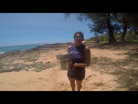 Skyline Eco-Adventures Wipe Out Plastic Challenge - Plastic Pollution