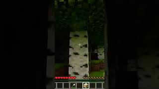 Minecraft Ultra pro level Graphics