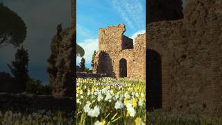 Procedural 3D Environments in Unreal Engine 5 #3d #unrealengine #games