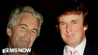 Report: Donald Trump told Florida police chief ‘everyone’ knew about Jeffrey Epstein