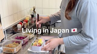 Back to My Daily Life Living in Japan | Making Japanese Bento Box, Grocery Shopping & Routine