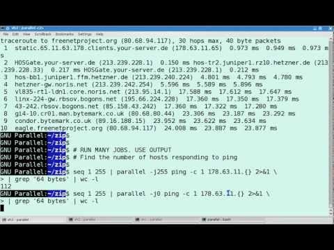 GNU Parallel script processing and execution