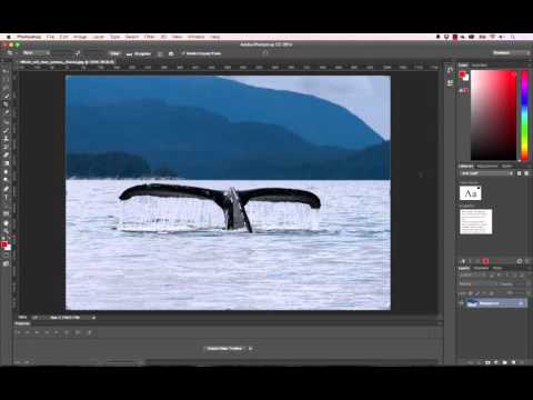 Getting Started in the Web client