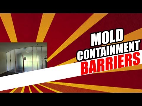 Mold Containment Barriers | Can Mold Spread if You Don't Have Them?