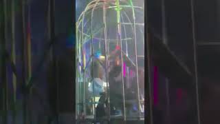 #joaopessoa #brasil #story #beyonce #blocoderua #bloco #babyboy #show #cardb #anitta