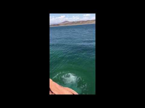 Practice video dallin