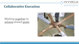 Project Execution Maturity Model