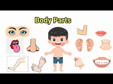 Parts of body || Body Parts Name || Body Parts Name in Hindi and English || शरीर के अंग #bodyparts
