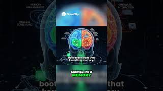 What is Linux? (Explained for Beginners)