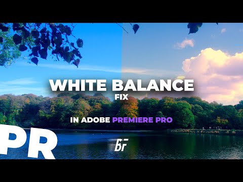 Orange Video? Blue Video? White Balance Fix in Adobe Premiere Pro (2 Minute Tutorial)
