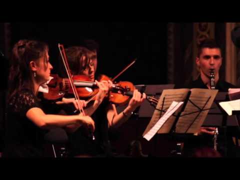 R. Wagner, Sigfried Idyl (Idilio de Sigfrido), versión original para grupo de cámara
