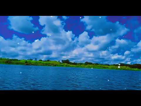 বুকের বিতর নোনা বেথা চোখে আমার জরে কথা এপার উপার তোলপার একা 🍁🍁