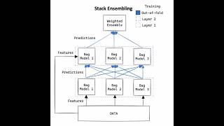 AutoML in the Age of Structured Foundation Models