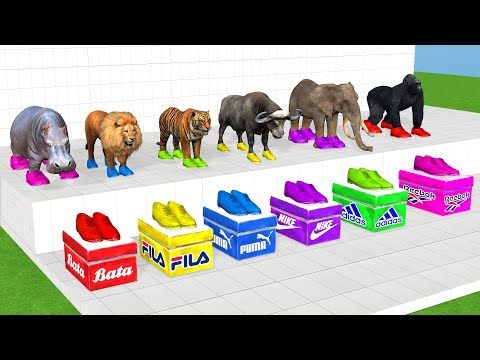 जंगल का राजा कौन है |Who is the king of the forest|Animal Story|Hindi Stories|Animated Hindi Stories