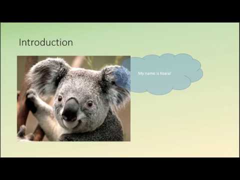 Powerpoint - Animations Exercise 1