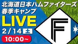 【特別LIVE】2/14 朝10:00～ ファイターズキャンプLIVE 2026～北海道日本ハムファイターズ 春季キャンプ～
