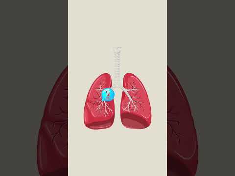 Why does inhaling helium is dangerous☠️☠️