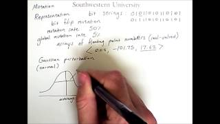 Exploring an Evolutionary Computation Search Space with Mutation: Different Representations