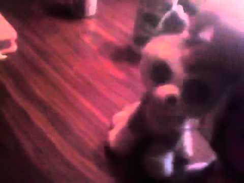 Beanie boo's weird dating