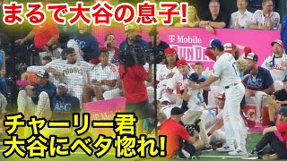 まるで大谷の息子！チャーリー君を我が子の様に可愛がる大谷！現地映像