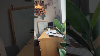 Fueling productivity #WorkFromHome #Productivity #techsetup #wfhdesk  #workvibes #milliondollarbaby