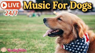 🔴24/7 Dog Music🎵🐶Calming Music for Dog Sleep🐶💖Relaxing Music for Sleep💖🦮Separation Anxiety Music🔴8