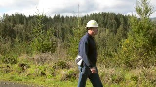 Find Your Path: Stewardship Forester