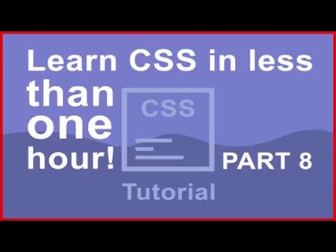 CSS Crash Course for Beginners - Pseudo Class - Part 8