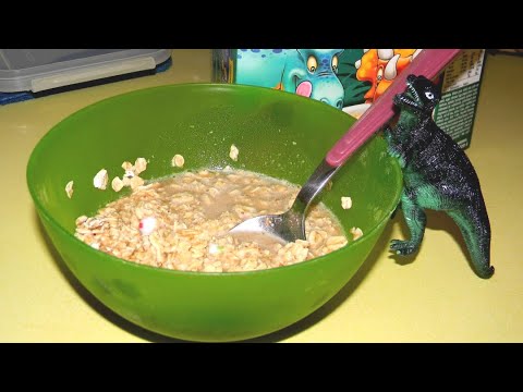 Yun drinks dinosaur oatmeal tea