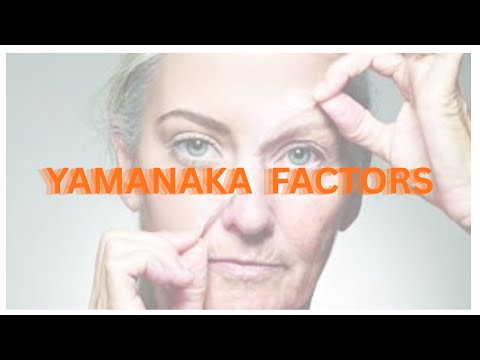 Yamanaka Factors!!