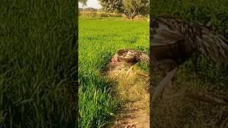 First Vlog me kya bole | First Vlog me kaise bole | First Vlog video kaise banaye | My Fir