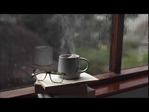 Rain Sound Helps to Sleep (No Ads) Rain in Forest White Noise Soothing and Relaxing Rain Music