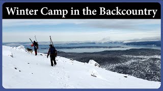 Winter Camping & Backcountry Ski Recon in Newfoundland | Pulk Sleds, Snow, and Sea Cliffs