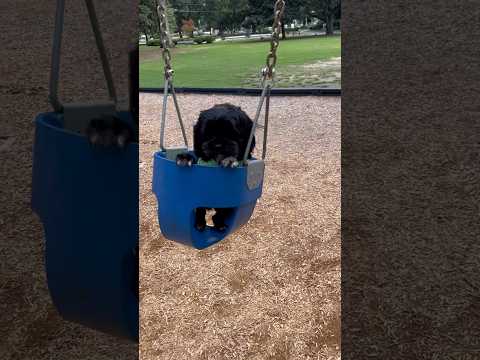 At the park 🛝