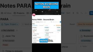 🧠 Take a peek at my second brain #secondbrain #notiontutorial #aitips