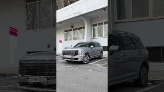 Daily Life with 2026 Hyundai Palisade Calligraphy!