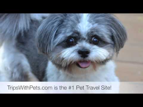 Pet Friendly Hotels Fayetteville, North Carolina