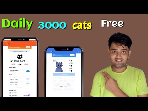 Cats daily 3000 cats free // roj 3000+ cats free // cats telegram project bot // airdrop upcoming
