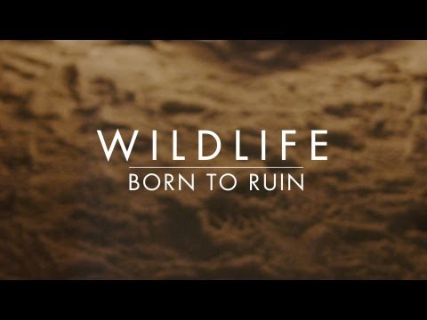 Wildlife - Born To Ruin
