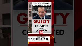 Hunter Biden Trial Update: Shocking Revelations and Future Implications
