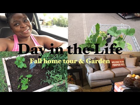 Day In the Life | Fall home Tour • Garden | Tijuana Fields