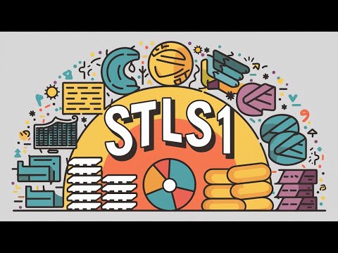 STLs 1 Beginner's Guide to Data Structures: Arrays, Vectors, Deques, Stacks, and Queues