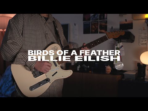 Billie Eilish - Birds of a Feather[GUITAR COVER]