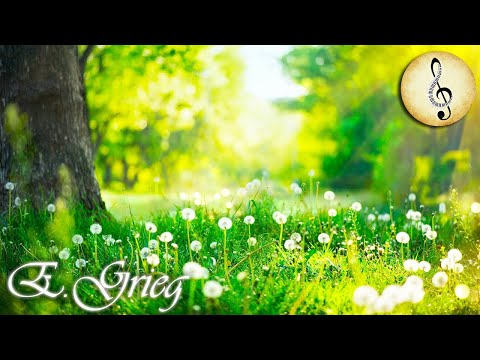 "Morning Mood" Peer Gynt Suite No. 1, Op. 46 - Edvard Grieg 🎶 Orchestral Music