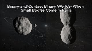 Binary and Contact Binary Worlds: When Small Bodies Come in Pairs