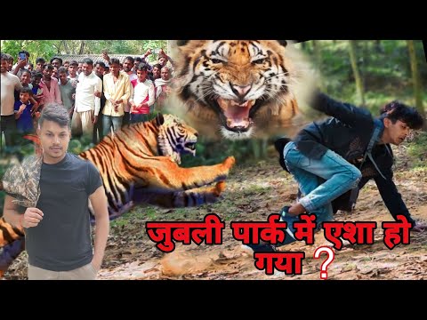 जुबली पार्क में tiger हमला इसलिए .... किया || Sp Wala Vlog