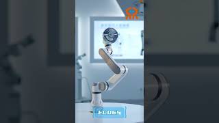 RealMan Ultra-lightweight humanoid robotic arm-ECO65 series#realman #robot #robotarm #robotchallenge
